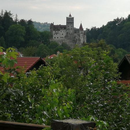 Pensiunea Transilvania Lodge Bran  Exteriér fotografie