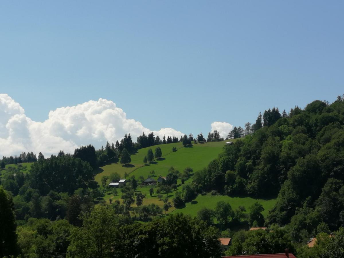 Pensiunea Transilvania Lodge Bran  Exteriér fotografie