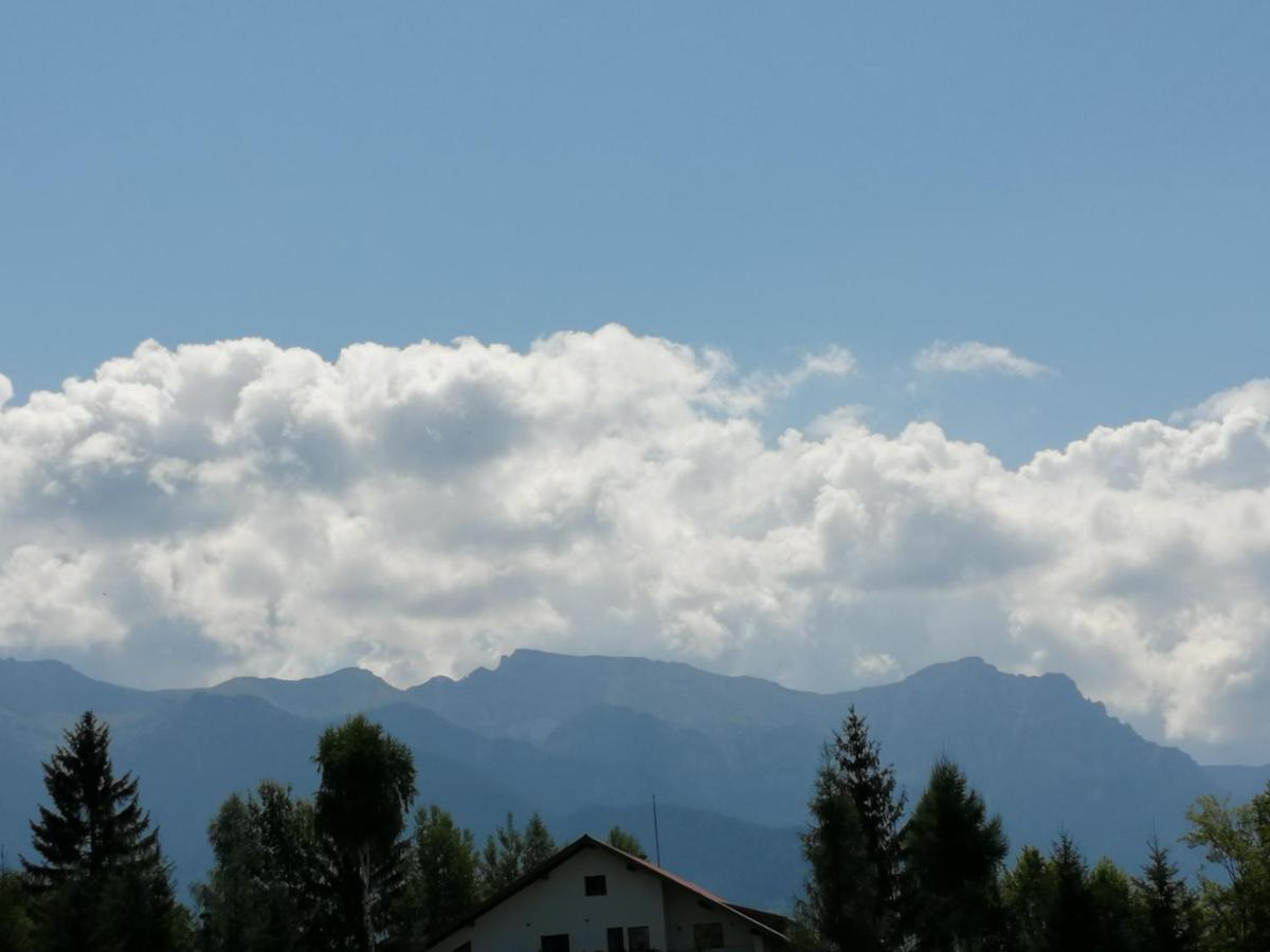 Pensiunea Transilvania Lodge Bran  Exteriér fotografie
