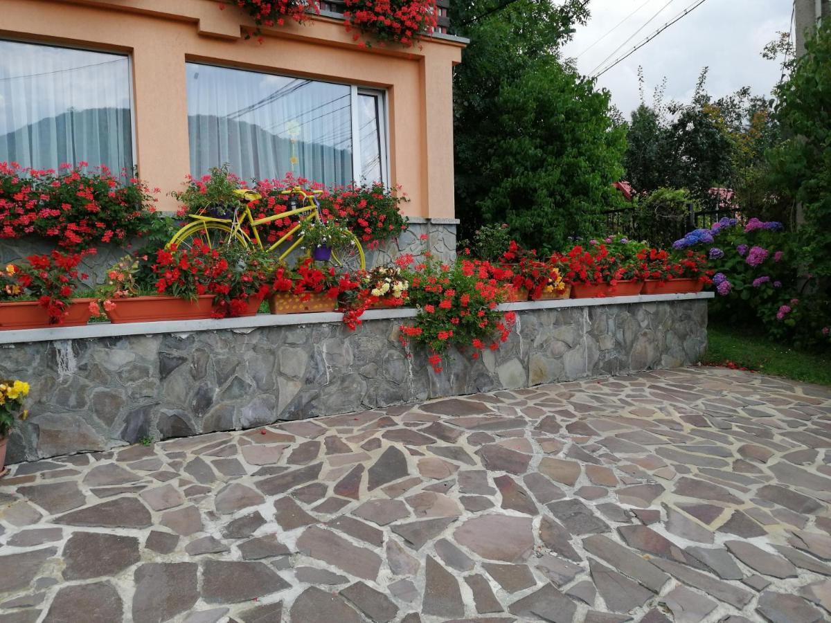 Pensiunea Transilvania Lodge Bran  Exteriér fotografie