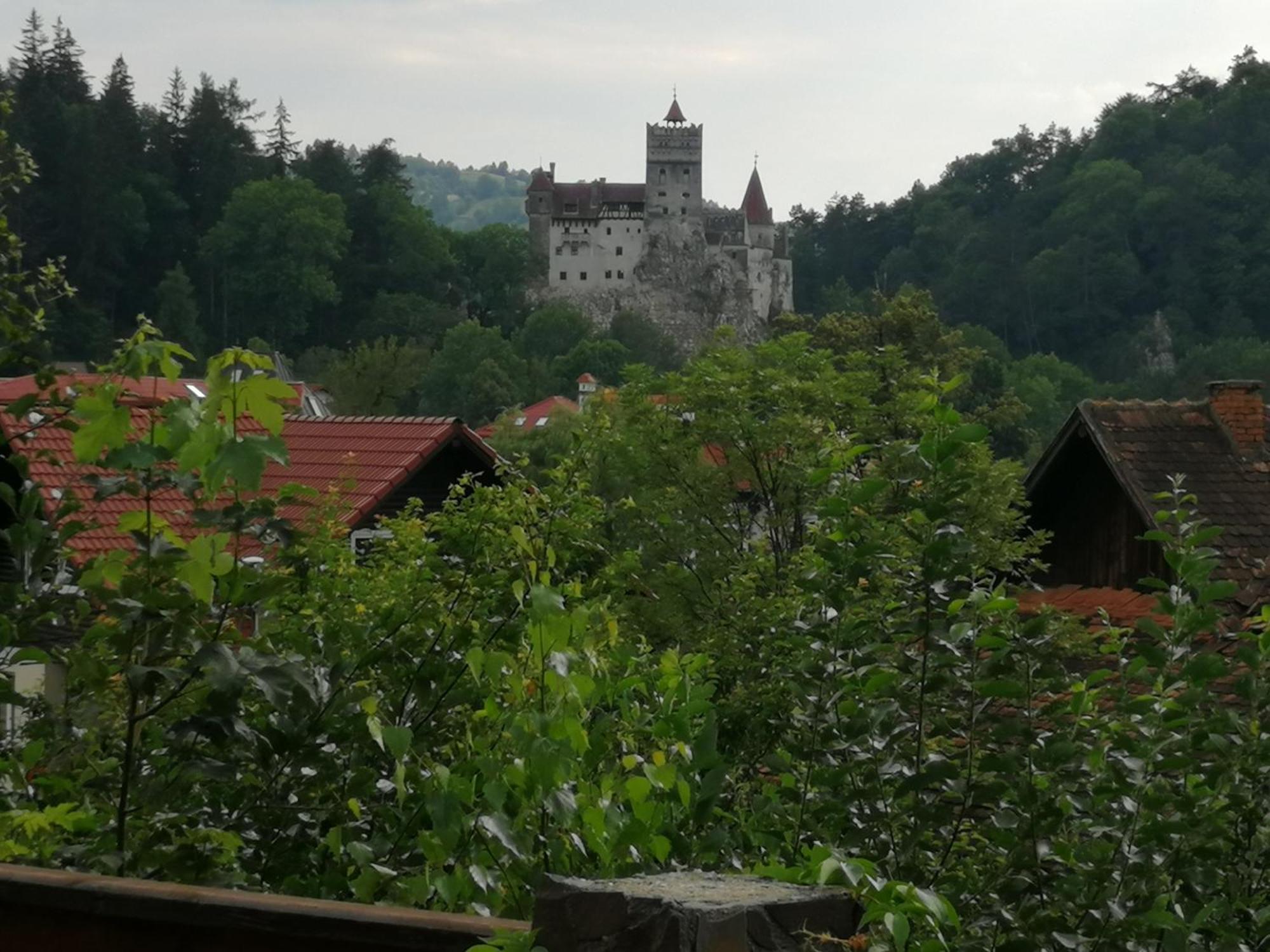 Pensiunea Transilvania Lodge Bran  Exteriér fotografie