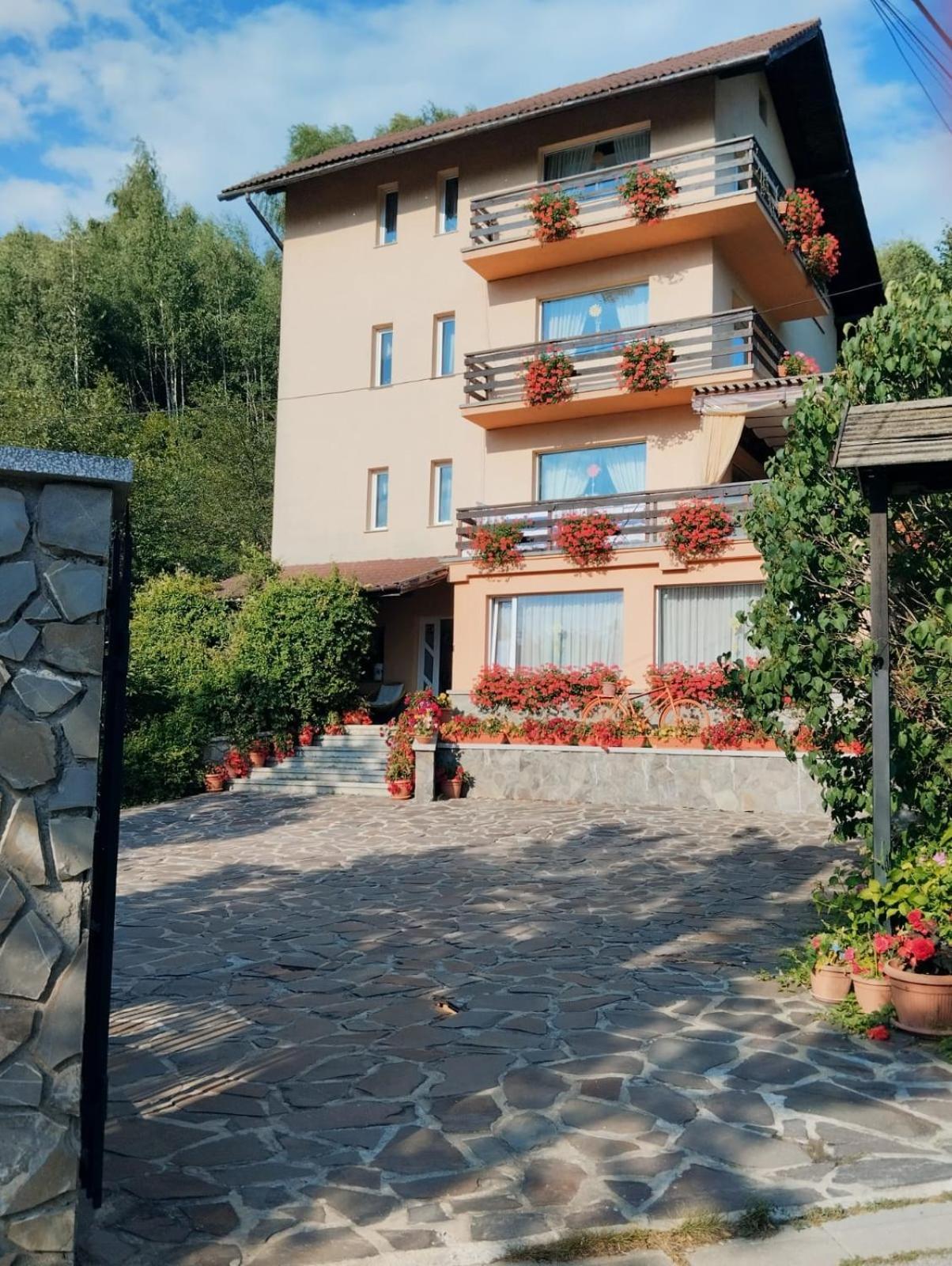 Pensiunea Transilvania Lodge Bran  Exteriér fotografie