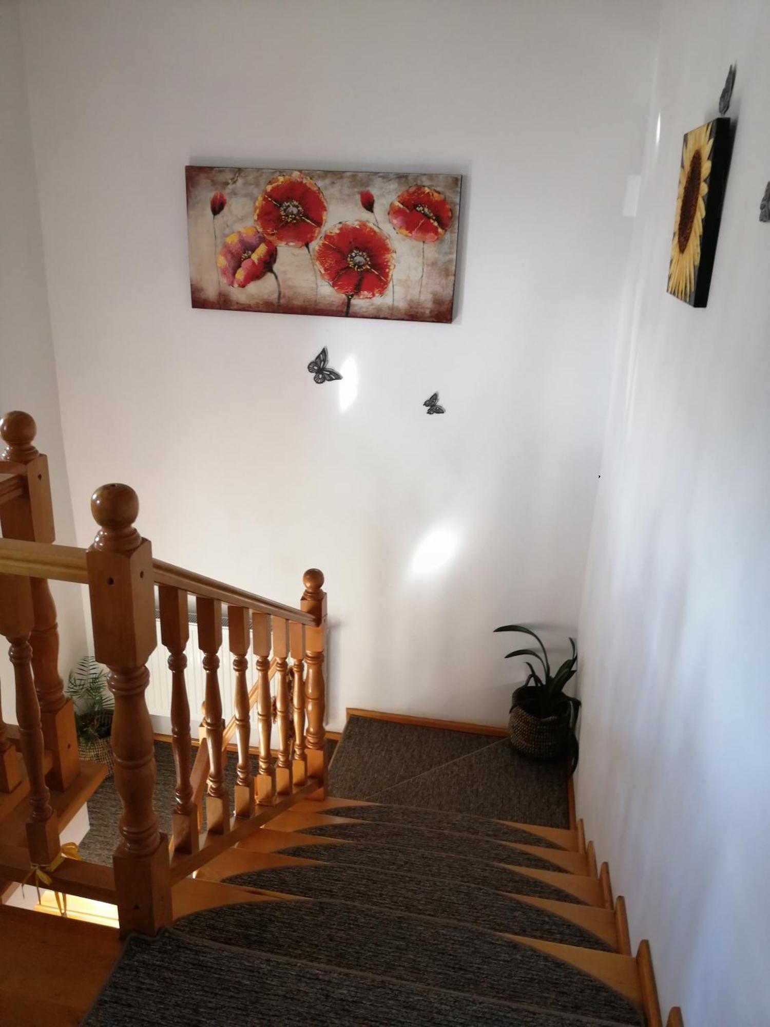 Pensiunea Transilvania Lodge Bran  Exteriér fotografie
