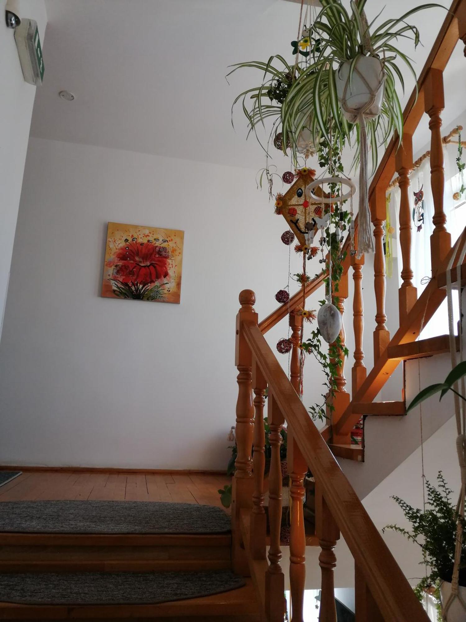 Pensiunea Transilvania Lodge Bran  Exteriér fotografie