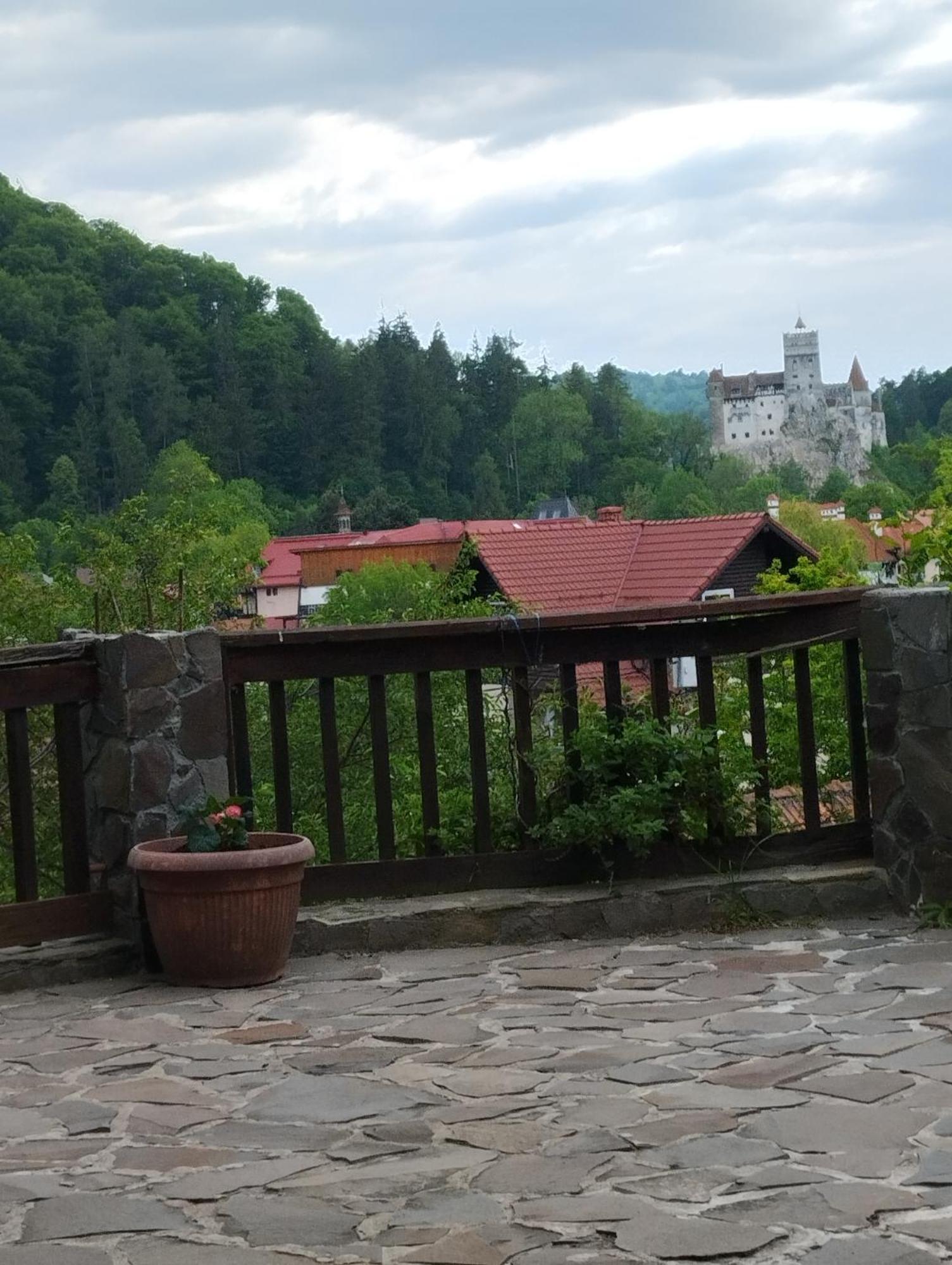 Pensiunea Transilvania Lodge Bran  Exteriér fotografie